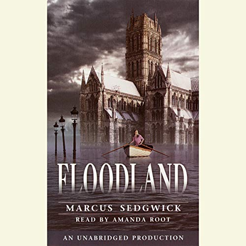 Cover of Floodland