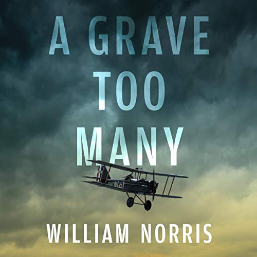 Cover of A Grave Too Many
