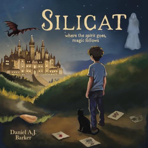 Cover of Silicat