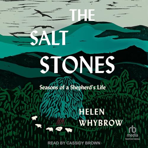 Cover of The Salt Stones