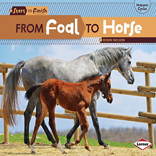 Cover of From Foal to Horse