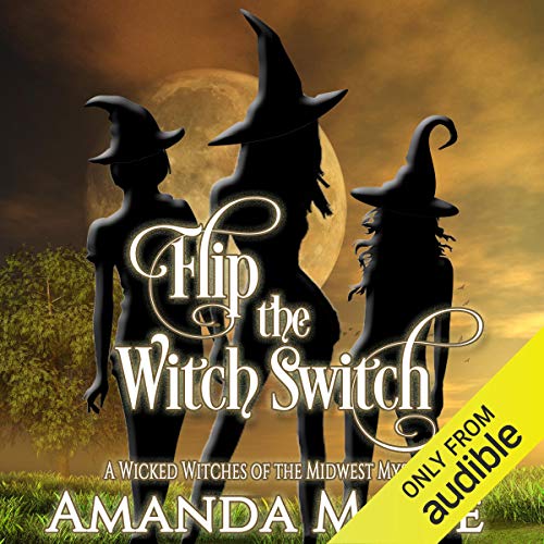 Cover of Flip the Witch Switch