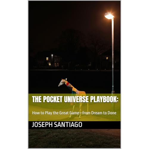 Cover of The Pocket Universe Playbook: