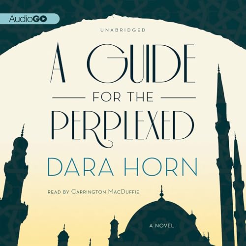 Cover of A Guide for the Perplexed