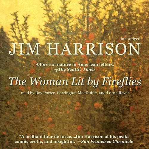 Cover of The Woman Lit by Fireflies
