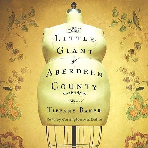 Cover of The Little Giant of Aberdeen County