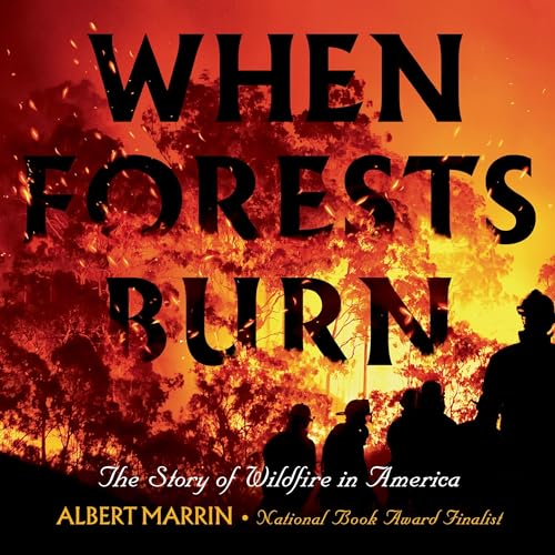 Cover of When Forests Burn