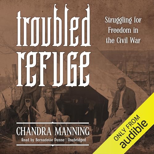 Cover of Troubled Refuge