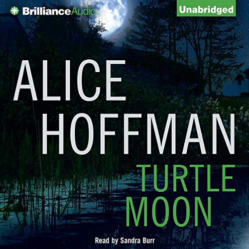 Cover of Turtle Moon