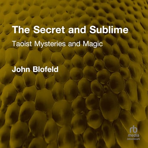 Cover of The Secret and Sublime