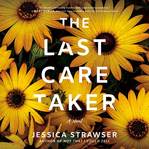 Cover of The Last Caretaker