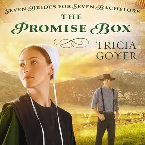 Cover of The Promise Box