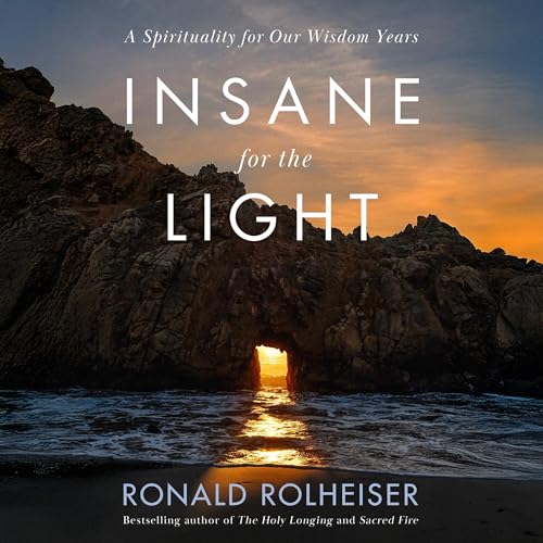 Cover of Insane for the Light