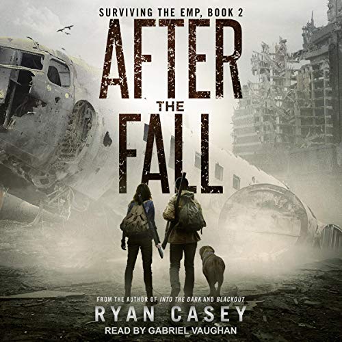 Cover of After the Fall