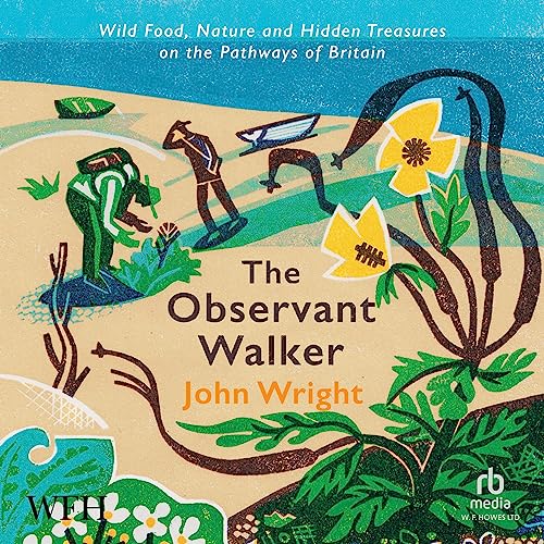Cover of The Observant Walker