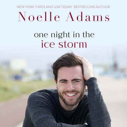 Cover of One Night in the Ice Storm