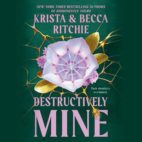 Cover of Destructively Mine