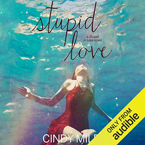 Cover of Stupid Love