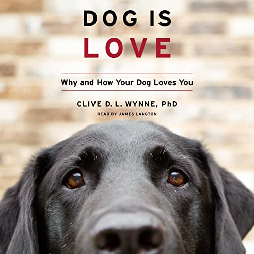 Cover of Dog Is Love