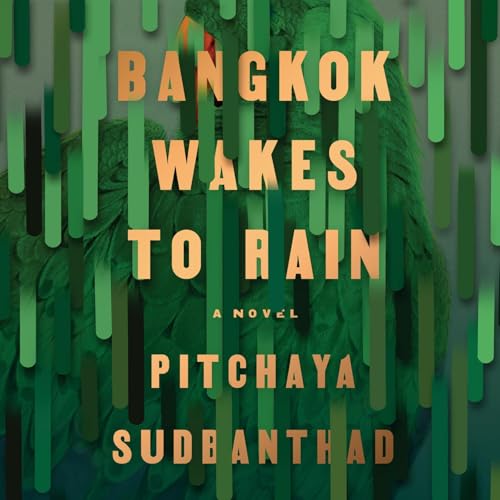 Cover of Bangkok Wakes to Rain