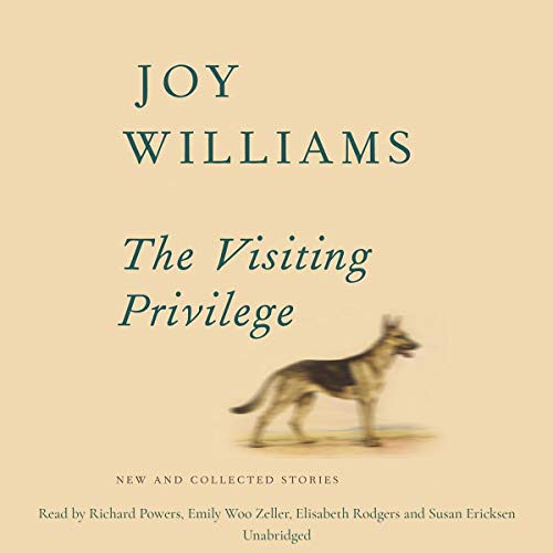 Cover of The Visiting Privilege