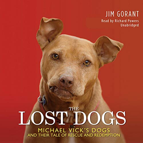 Cover of The Lost Dogs