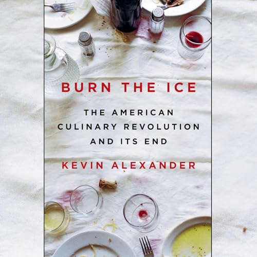 Cover of Burn the Ice