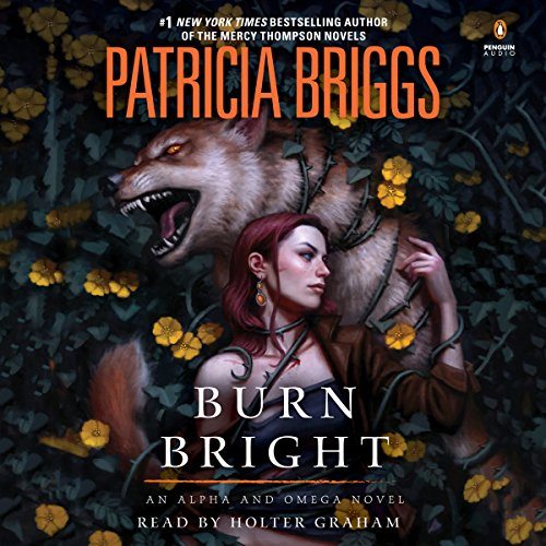 Cover of Burn Bright