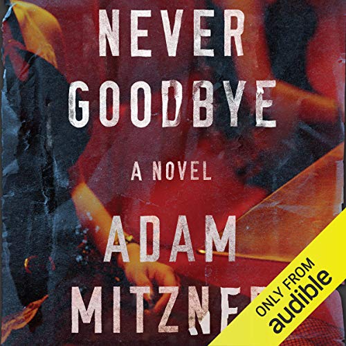 Cover of Never Goodbye