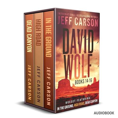 Cover of The David Wolf Mystery Thriller Series: Books 14-16