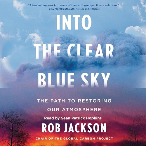Cover of Into the Clear Blue Sky