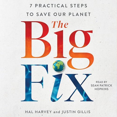 Cover of The Big Fix