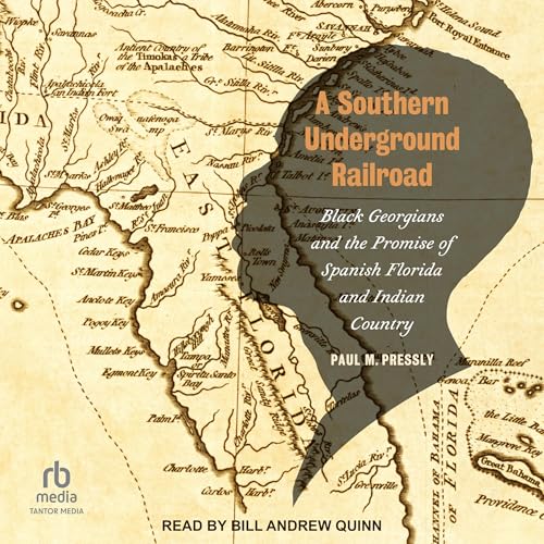 Cover of A Southern Underground Railroad
