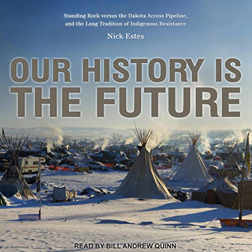 Cover of Our History Is the Future