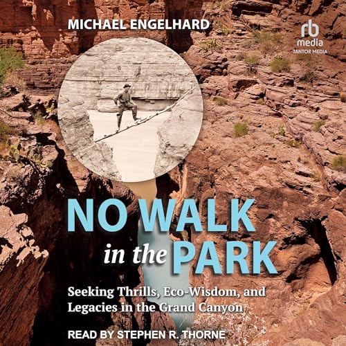 Cover of No Walk in the Park
