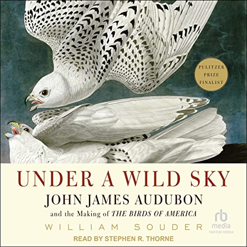 Cover of Under a Wild Sky