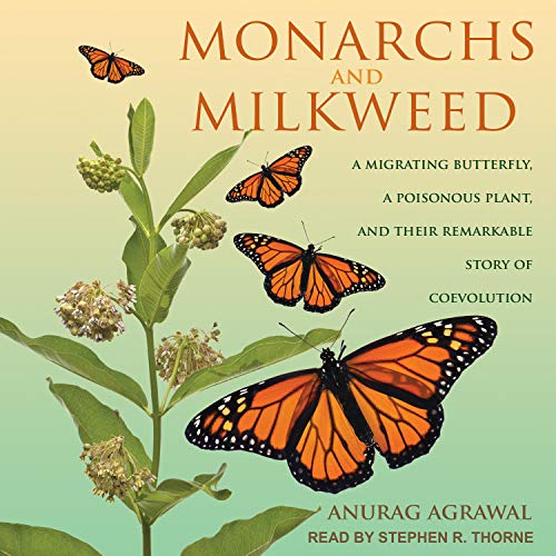 Cover of Monarchs and Milkweed