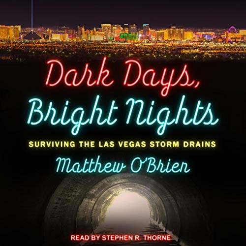 Cover of Dark Days, Bright Nights
