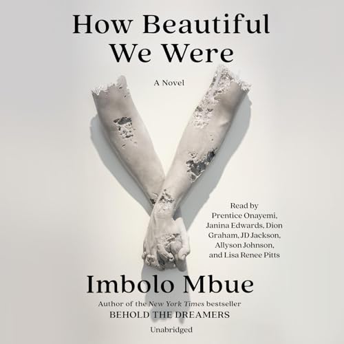 Cover of How Beautiful We Were