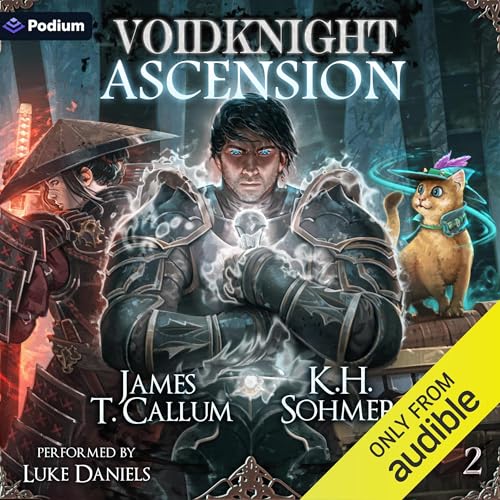 Cover of Voidknight Ascension 2