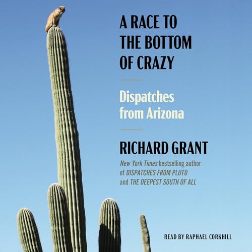 Cover of A Race to the Bottom of Crazy