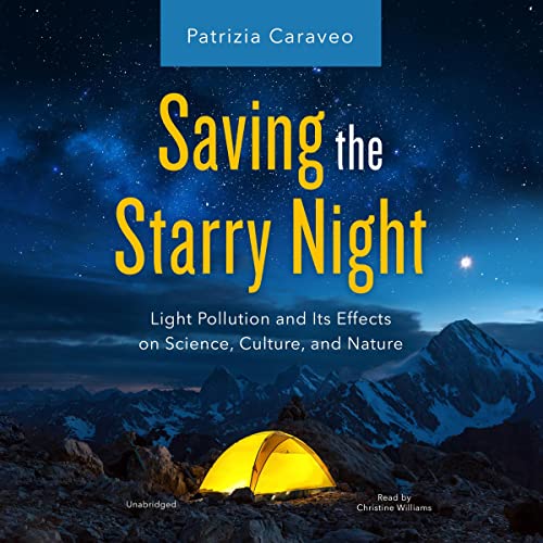 Cover of Saving the Starry Night