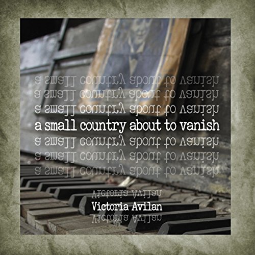 Cover of A Small Country About to Vanish