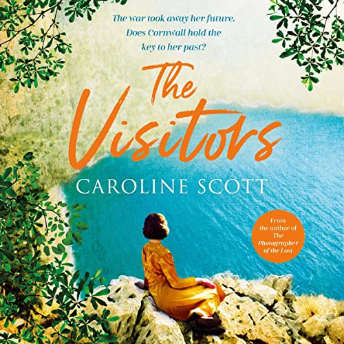 Cover of The Visitors