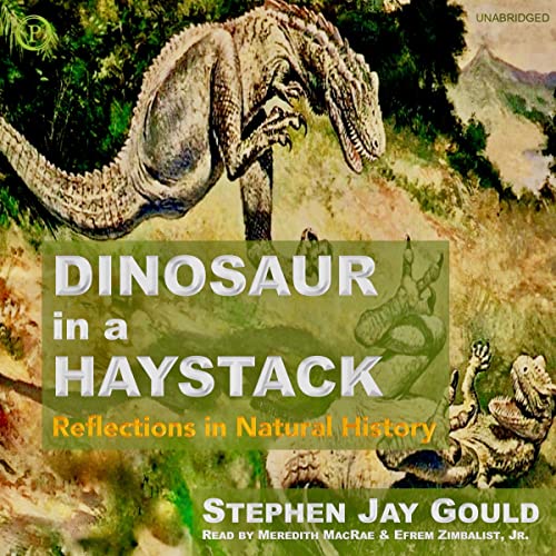 Cover of Dinosaur in a Haystack