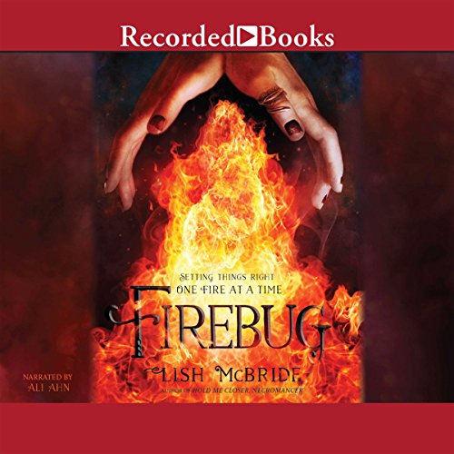 Cover of Firebug