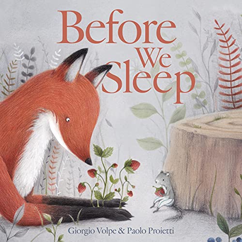 Cover of Before We Sleep