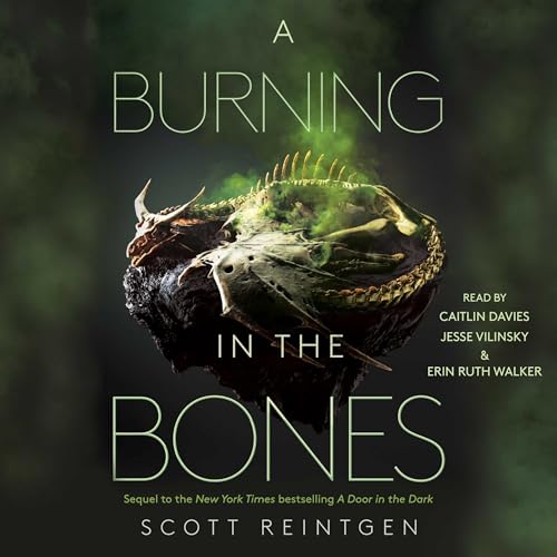 Cover of A Burning in the Bones