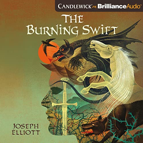Cover of The Burning Swift