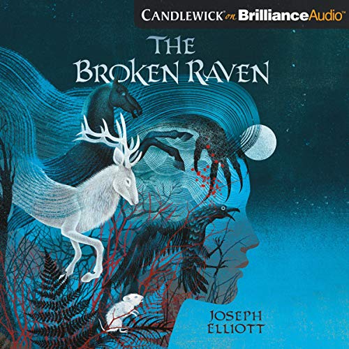 Cover of The Broken Raven